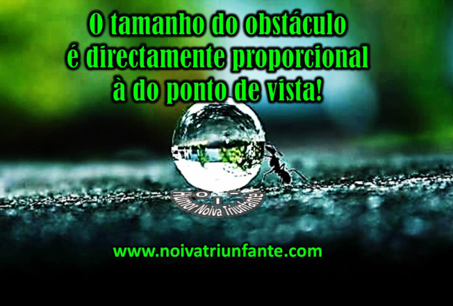 NOIVA TRIUNFANTE  noivatriunfante