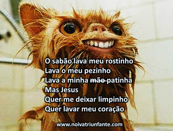 NOIVA TRIUNFANTE  noivatriunfante