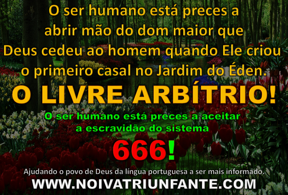 NOIVA TRIUNFANTE  noivatriunfante