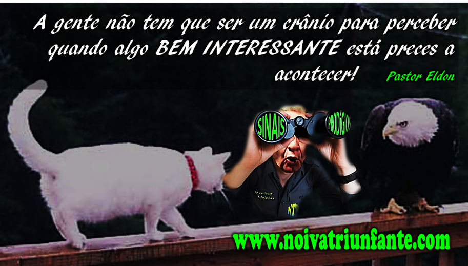 NOIVA TRIUNFANTE  noivatriunfante