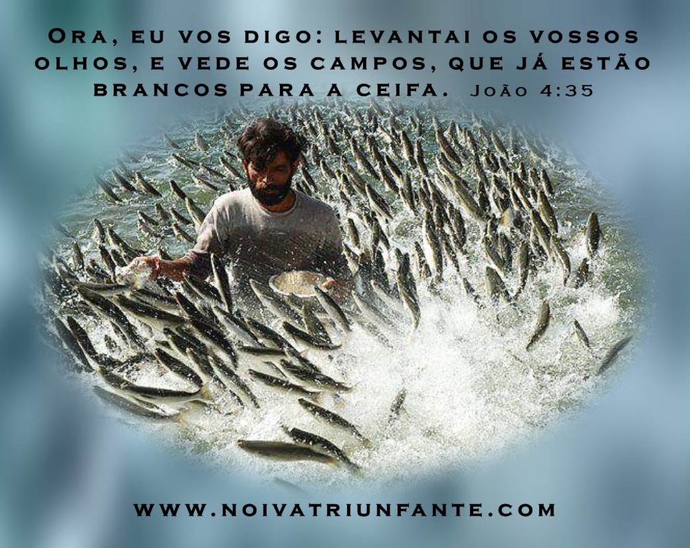 NOIVA TRIUNFANTE  noivatriunfante
