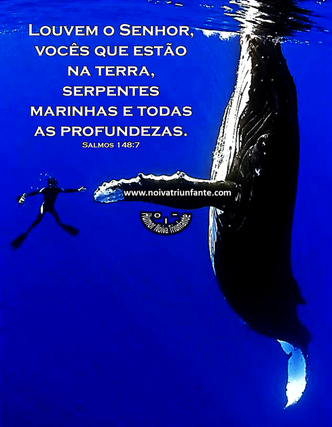 NOIVA TRIUNFANTE  noivatriunfante