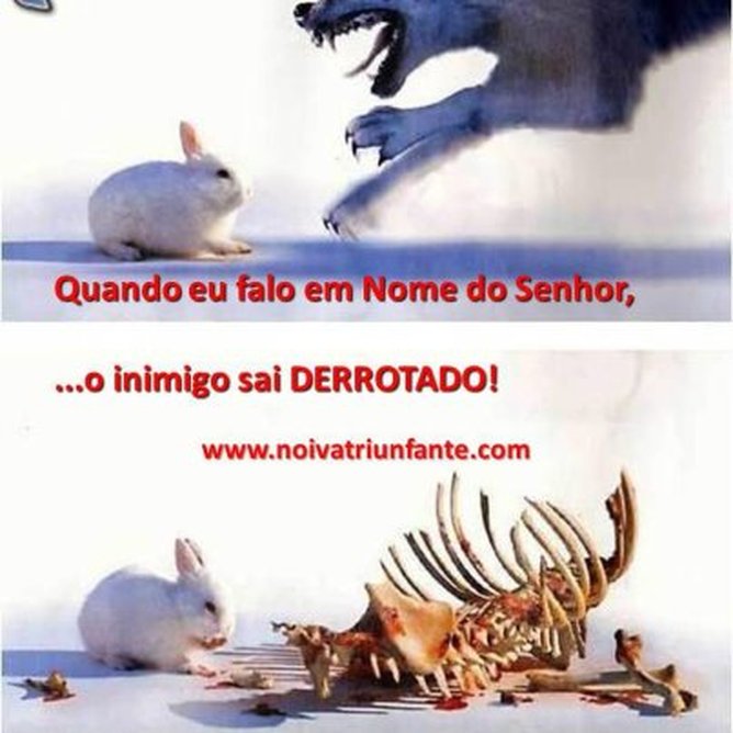 NOIVA TRIUNFANTE  noivatriunfante