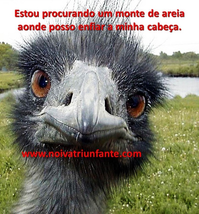 NOIVA TRIUNFANTE  noivatriunfante