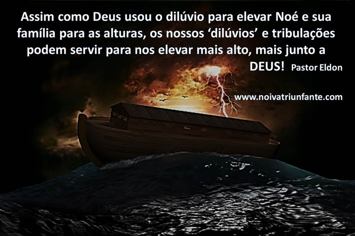 NOIVA TRIUNFANTE  noivatriunfante